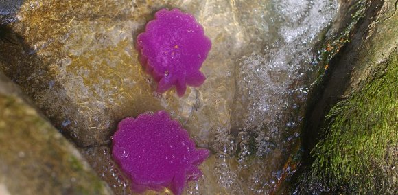 Подушка Wings M