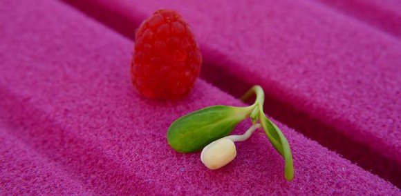 Подушка Fly C Подушка Fly C