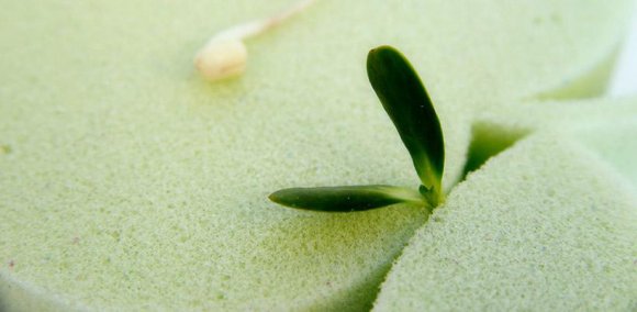 Подушка Bremen S Подушка Bremen S