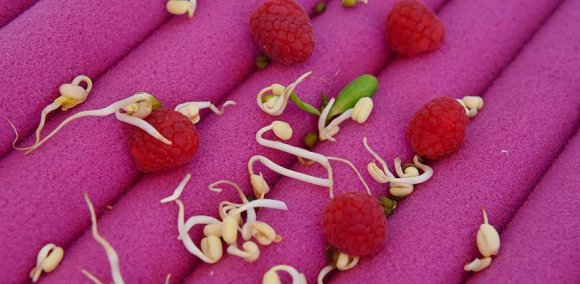 Подушка Fly W