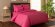 Комплект постельного белья Cosmopolitan L (80x200)