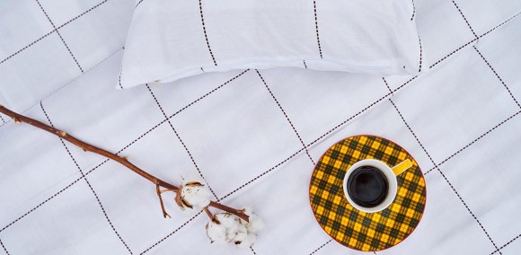 Комплект постельного белья Pinacolada L (120x190)